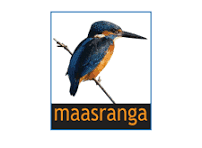 Maasranga TV